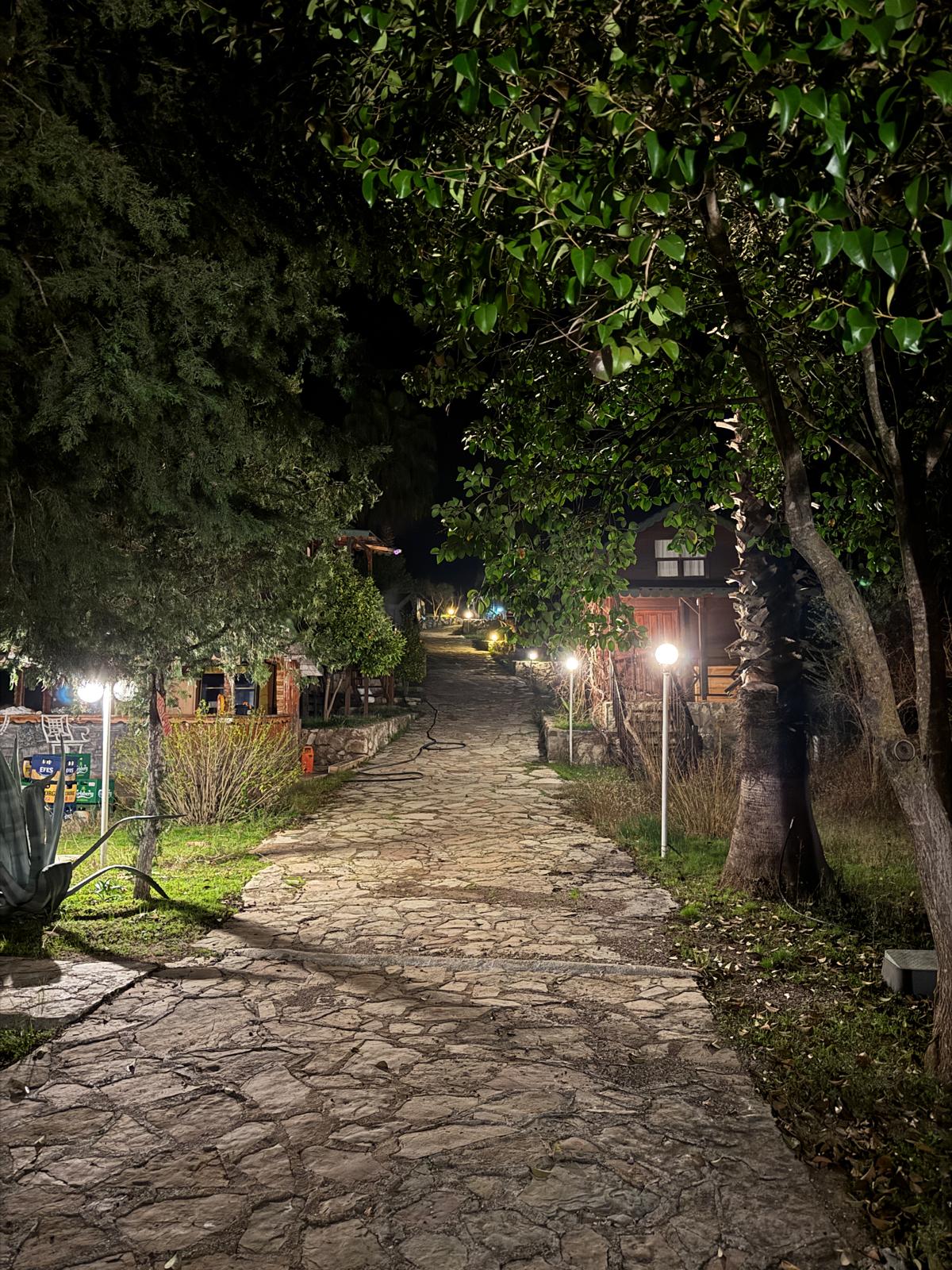 Foto 23